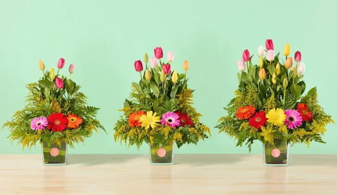 Tulipanes